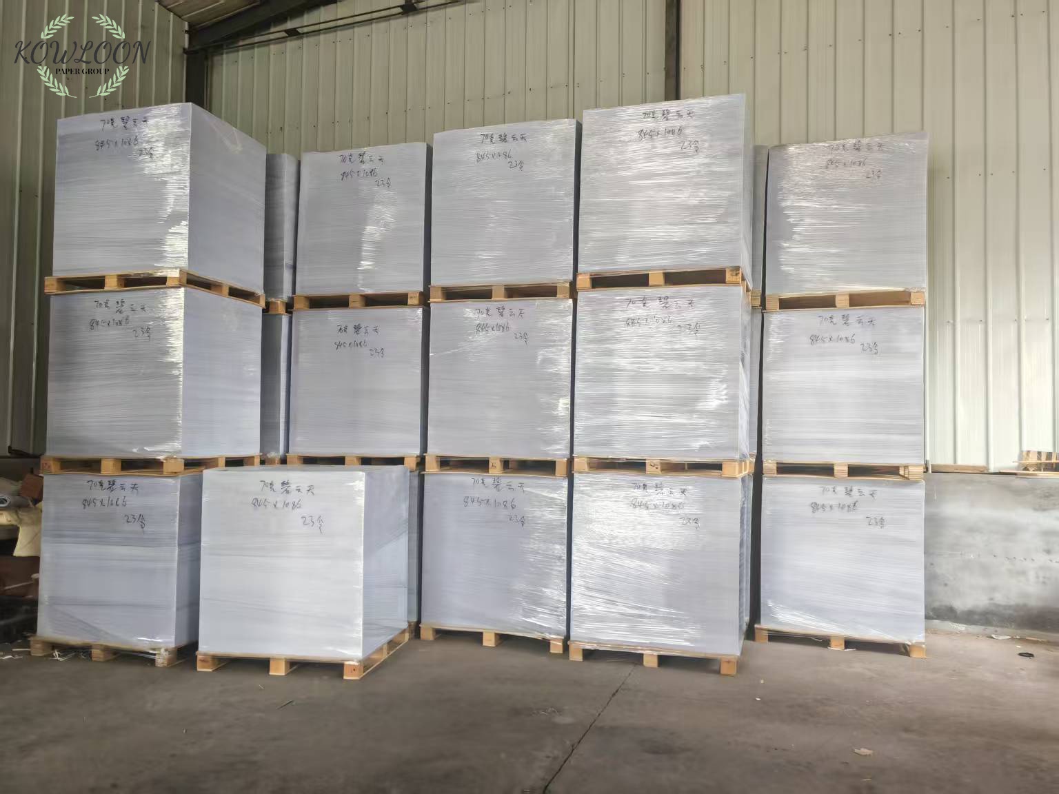 china source factory produces disposable pe single layer coated flat paper china source factory produces disposable pe single layer coated flat paper